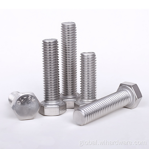 304 316 Stainless Steel Hexagon Head Hex Bolts